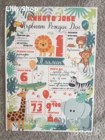 Покани, банер за рожден ден, Сафари Джунгла  / Safari Jungle, снимка 14 - Покани - 53177046
