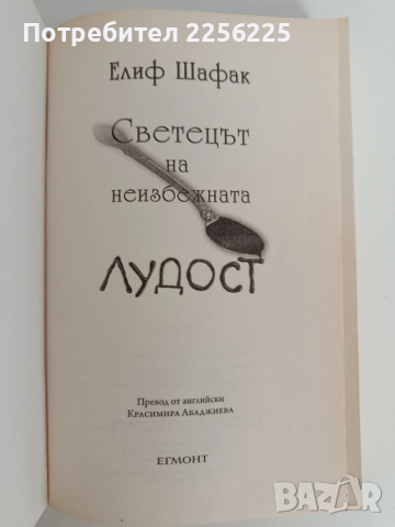 ЛОТ Елиф Шафак, снимка 5 - Художествена литература - 52849670