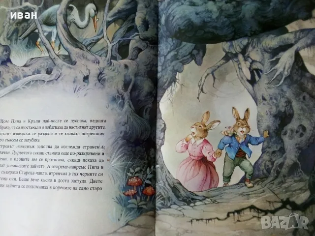 Островът на чаплите - Джон Пейшънс - 1994г., снимка 4 - Детски книжки - 50223915