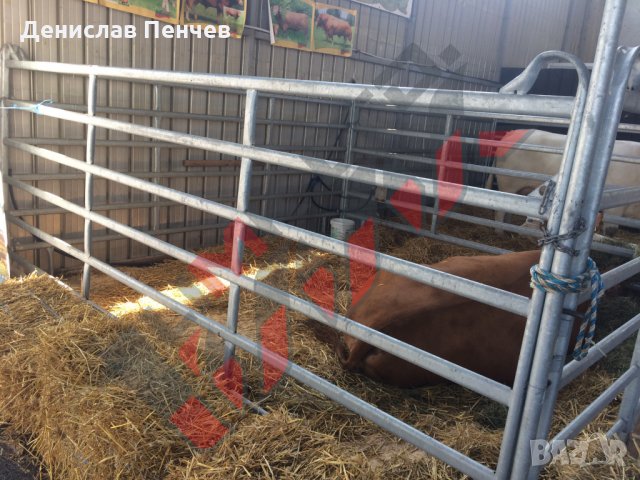 Прегради за крави и коне, снимка 3 - За селскостопански - 34654011