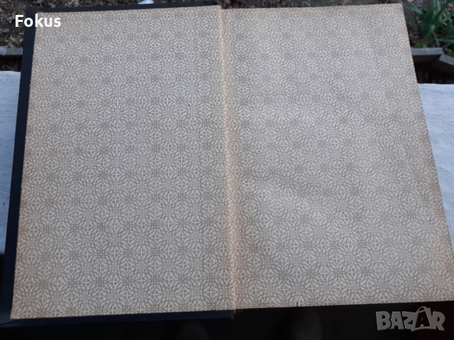 МНОГО СТАРА НЕМСКА БИБЛИЯ 1887 ГОДИНА, снимка 3 - Антикварни и старинни предмети - 53479165