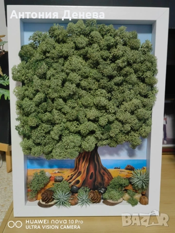 Пана със скандинавски мъх , снимка 3 - Пана - 53504291