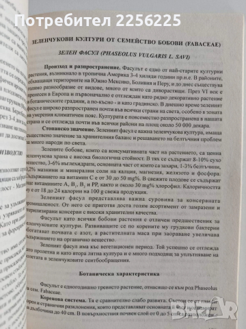 Зеленчукопроизводство, снимка 4 - Специализирана литература - 53084719