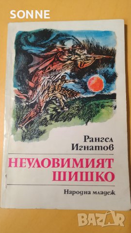 Неуловимият Шишко - Рангел Игнатов, снимка 6 - Детски книжки - 41024450