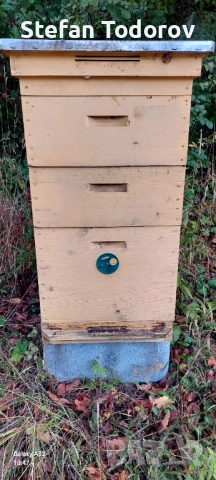 пчелни кошери дадан блат