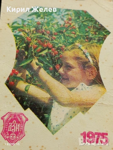 Старо календарче 75г. ДЗИ рядко за КОЛЕКЦИЯ ДЕКОРАЦИЯ 35366, снимка 2 - Колекции - 51216730
