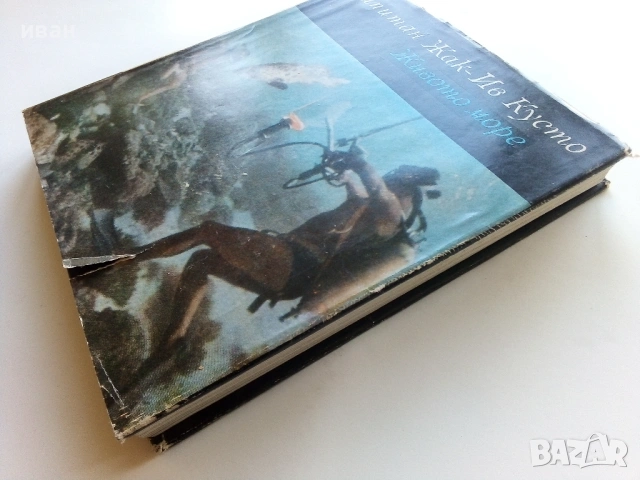 Живото Море - Жак-Ив Кусто - 1968г., снимка 13 - Художествена литература - 53249677