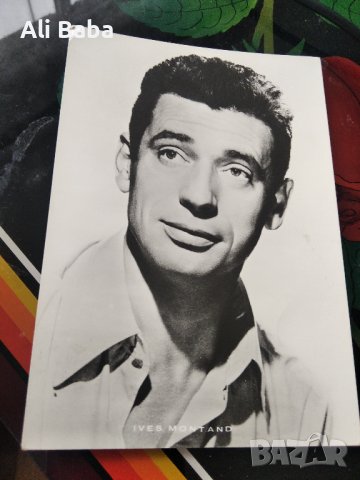 Картичка/снимка френския певец и актьор Ив Монтан , снимка 1 - Колекции - 41104661