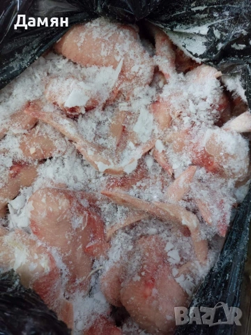 Месо за Домашни любимчи, снимка 5 - За кучета - 53465059