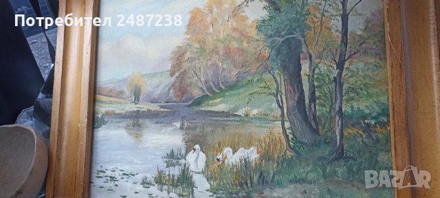 Картина масло,лебеди от Павликенска околия, снимка 2 - Картини - 39514995