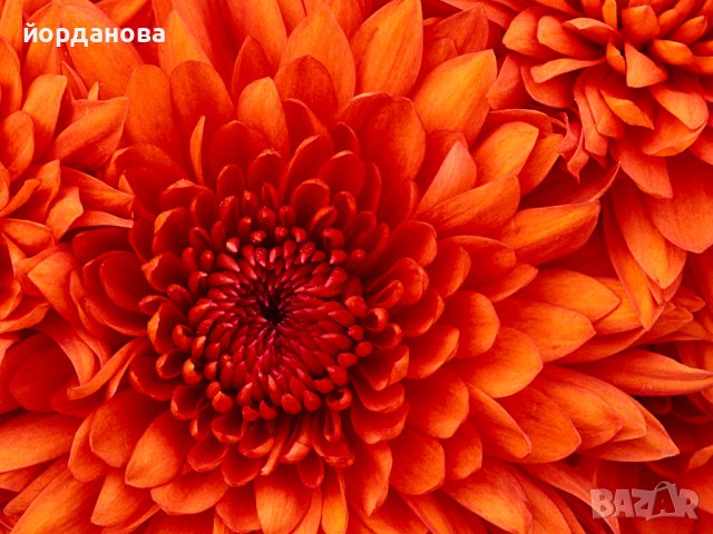 Разработени теми за държавен изпит  по ПНУП. Може изпращане на отделни теми