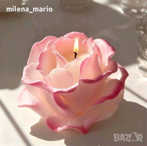 молдчета Нови модели