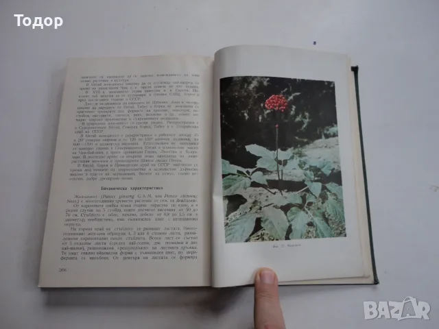 Книга Етерично маслени и медицински култури Стайков , снимка 9 - Специализирана литература - 56258882