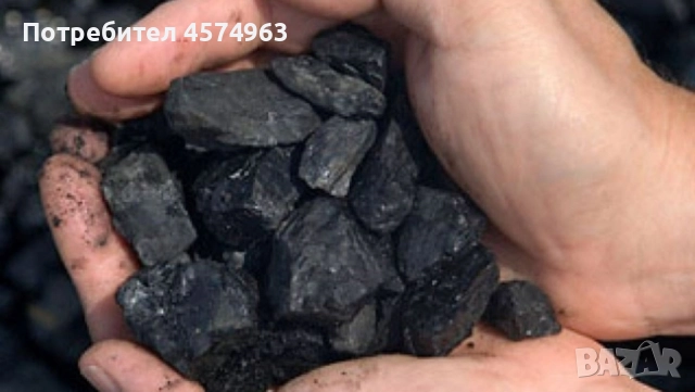 предлагаме Домбаски авъглища, снимка 3 - Въглища - 51480980