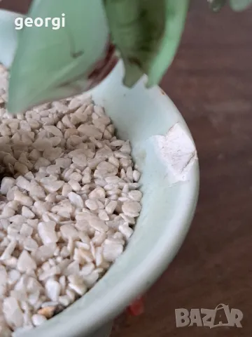 стъклено дърво бонзай   19/1, снимка 8 - Декорация за дома - 49037135