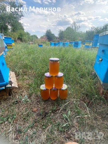 Продавам 100 % натурален полифлорен пчелен мед от Сакар планина, снимка 2 - Пчелни продукти - 25878382