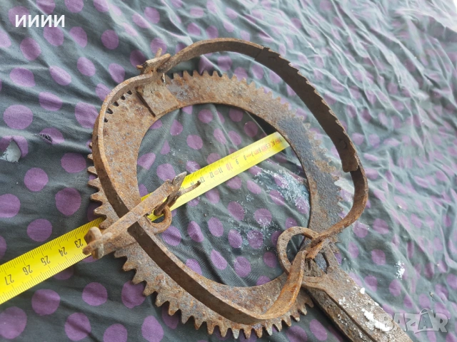 Капан клюса със зъби , снимка 3 - Антикварни и старинни предмети - 53134505