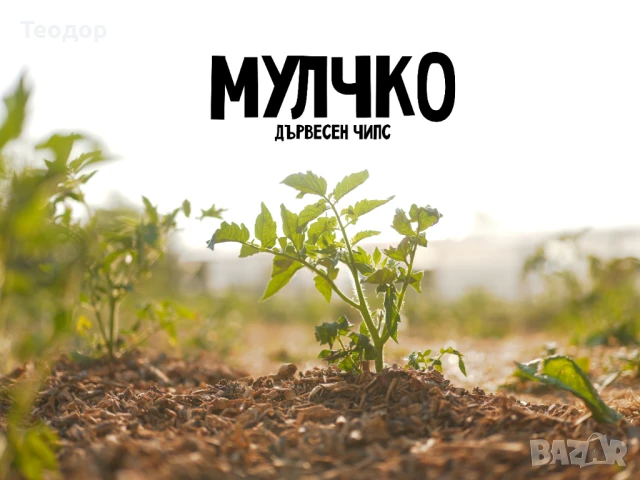 Дървесен мулч: Таен съюзник срещу плевелите и жегата, снимка 1