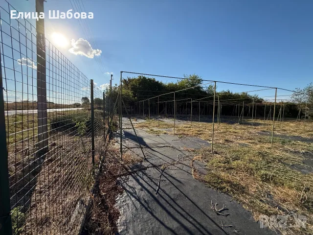 Имот с потенциал в с. Горна Студена, обл. Велико Търново , снимка 3 - Къщи - 56170697