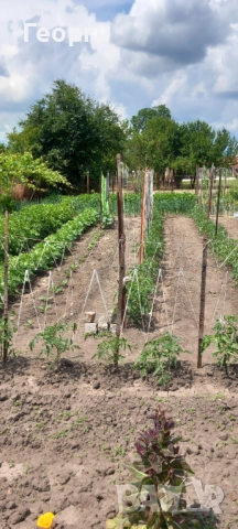 Продавам къща 94 кв.м в с. Ястребово с дворно 750кв.м., снимка 12 - Къщи - 51858475