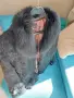 Черно палто зайче/ лисица естествен косъм размер М, снимка 8