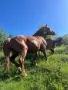 Продавам БТК ….., снимка 5