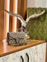 чанти gucci , снимка 10