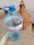 Стъклени дамаджани, снимка 3