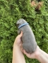 френски булдог/french Buldog, снимка 7