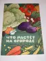 Стари книжки на руски език, снимка 8