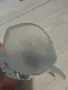 Статуетка риба стъкло , снимка 9