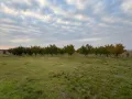 Продавам овощна градина - Кайсии - 22,5 декара, снимка 1