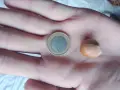 🌰 Пресни лешници, снимка 3