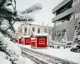 ЕКСКУРЗИЯ КОЛЕДНА МАГИЯ В КРАЙОВА, РУМЪНИЯ 2026, снимка 2
