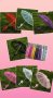 Дантелени чадъри-различни цветове , снимка 1 - Други - 39043977