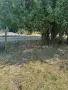 Парцел с. Селищен дол, снимка 5