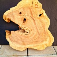 Дървен материал от маслина (янове) и шайби, снимка 3 - Маси - 28068569