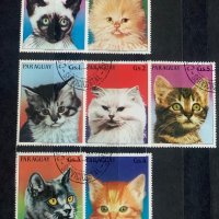 251а. Парагвай 1984 ~ “ Фауна. Котки. “, снимка 1 - Филателия - 32159021