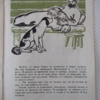 Книга "Как кучето си намерило другар-Васил Александров"-12ст, снимка 4 - Детски книжки - 41408095