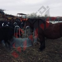 Кръгла пасищна хранилка за крави или коне PH-12S, снимка 9 - За селскостопански - 34653833