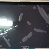 Оригинален дисплей за Samsung Galaxy Tab S7 FE 5G SM-T736, снимка 1 - Резервни части за телефони - 39496091