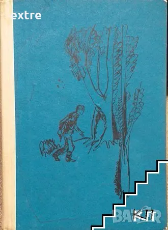 Момчето от отряда Петър Стъпов, снимка 1