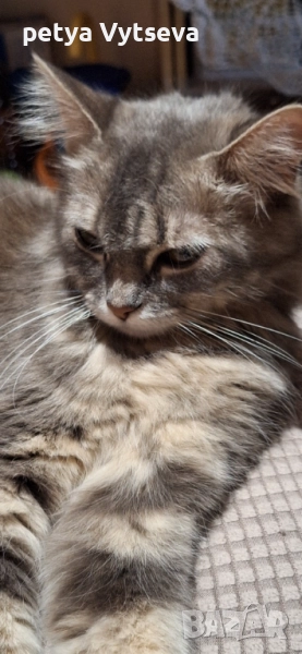 Момченца и момиче, снимка 1