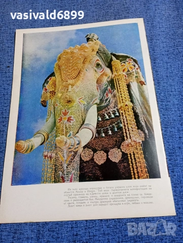 Списание "Картинна галерия" 8/1959, снимка 4 - Списания и комикси - 53644047