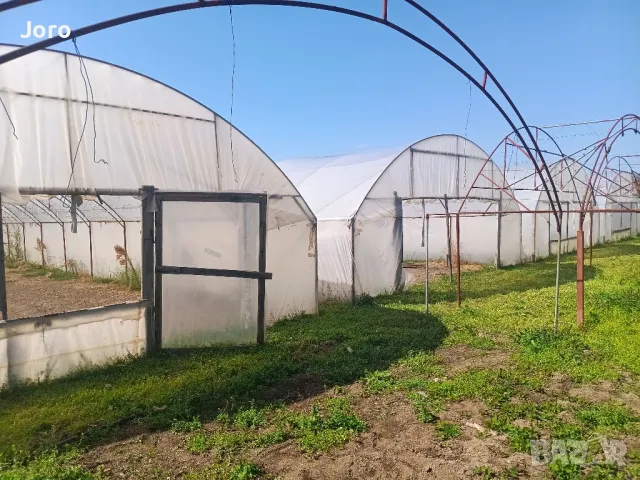 Ферми-оранжерии два размера, снимка 5 - Оранжерии - 49968385