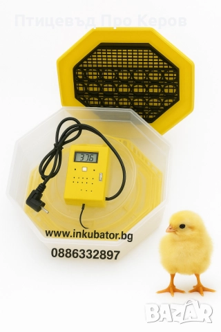 Инкубатори за яйца CLEO 5