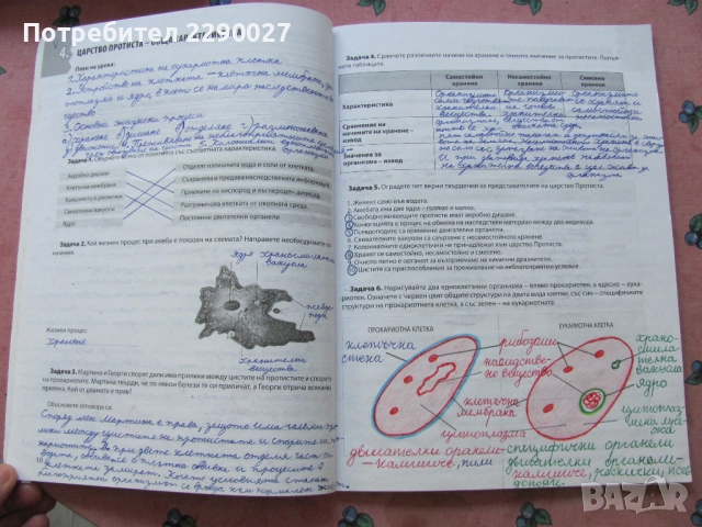 Учебна тетрадка по Биология за 7 клас - попълнена, снимка 4 - Учебници, учебни тетрадки - 51735638