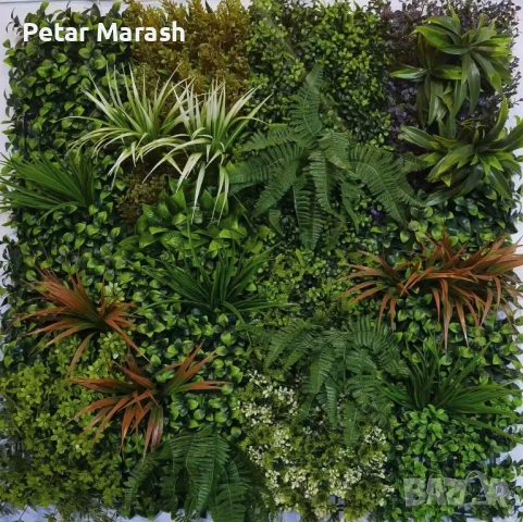 Декоративен Панел 1м² kw2735 – Изкуствена Зеленина с Папрат и Фаларис, UV Защита, снимка 1