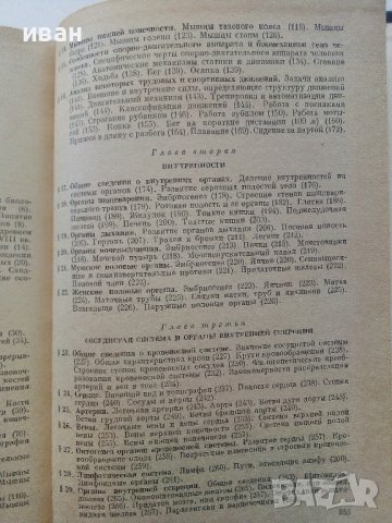 Анатомия Человека - М.Курепикина,Г.Воккен - 1963г. , снимка 7 - Специализирана литература - 39010401