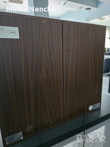 Telesono P 100/1, снимка 6 - Тонколони - 53689359